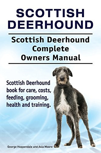 Scottish deerhound - deerhound.,
