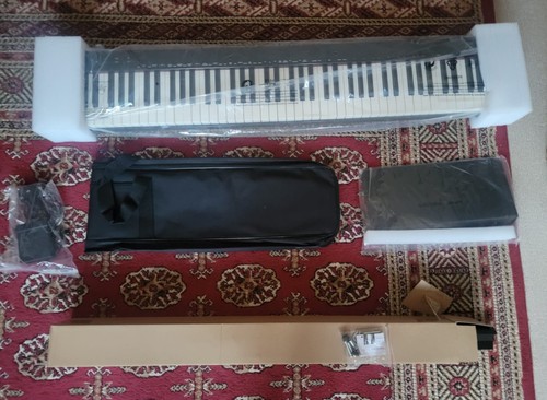 Digital piano key - digital,