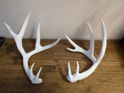 Pair long deer - pair, cm