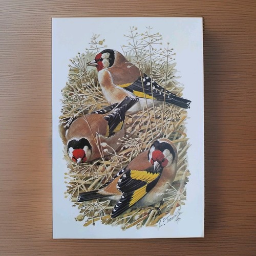 Vintage tunnicliffe - vintage, c.f.