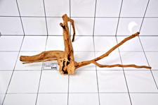 Premium aquarium natural - aquarium,