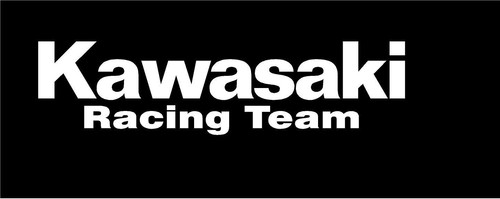 5536 kawasaki gloss - (2),