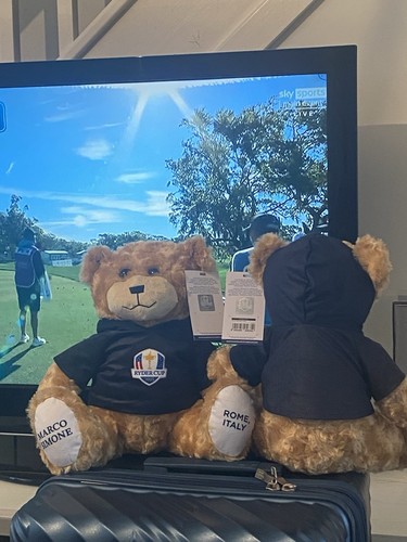 Ryder cup rome collection 2023 - cup,