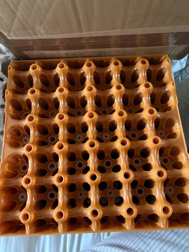 Plastic egg trays each hold - egg,
