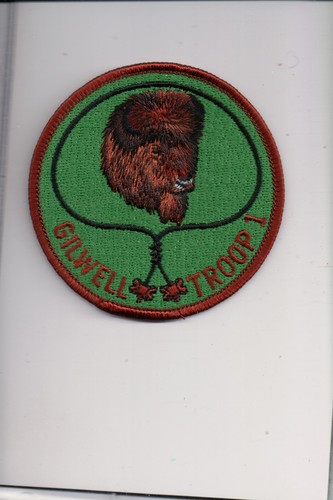Buffalo gilwell troop 1 - wb-28,