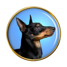 English Toy Terrier (Black &