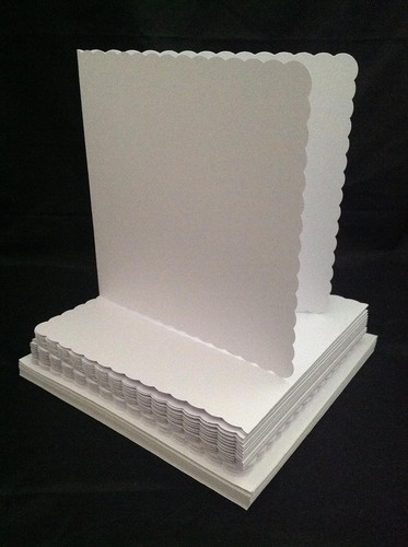 6 white scalloped - x, 6"
