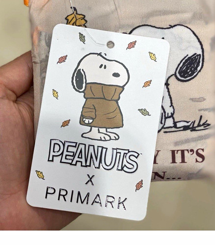 Peanuts snoopy woodstock - &,