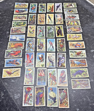 Vintage 1961 Brooke Bond Tea
