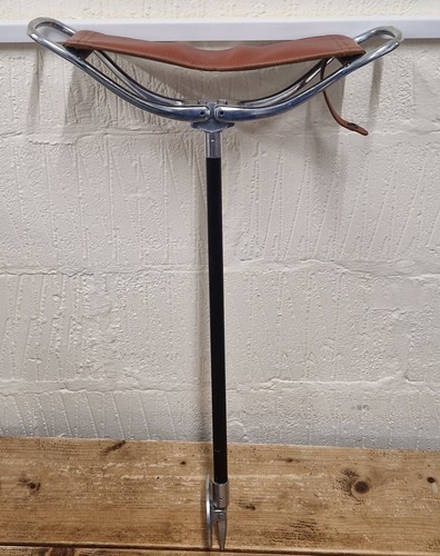 Vintage gamebird - vintage,