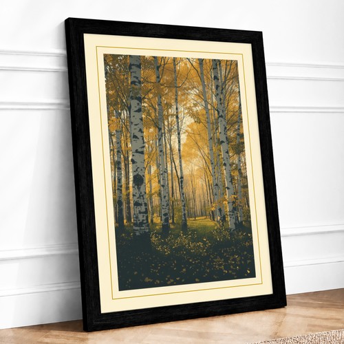 Birch forest gold - birch,