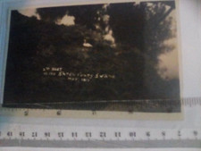 2nd Nest of the Shrewsbury