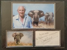 David shepherd signed - shepherd, 16x12