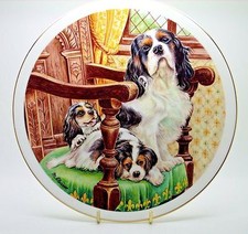 ~ King Charles Tri-Colour &