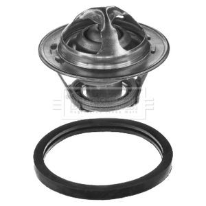 Borg beck thermostat - thermostat, for