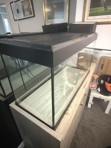 Fluval 240litre tank full - fluval,