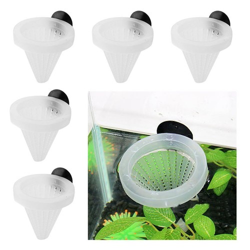 6pcs live red - 6pcs, worm