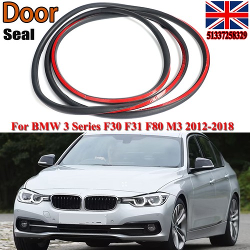 Front door weatherstrip rubber - front,