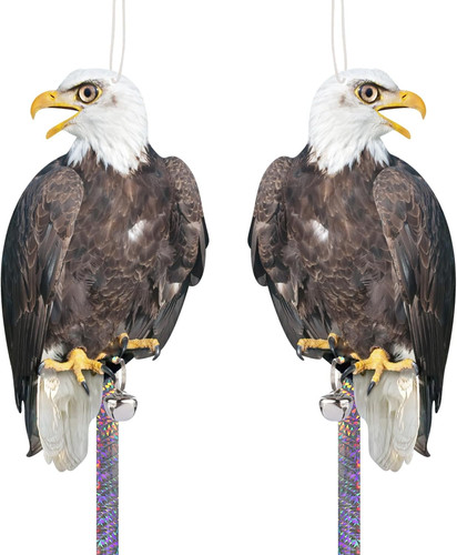 2pcs hawk bird scarer - hawk,