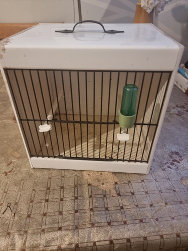 White safe transportation - white,