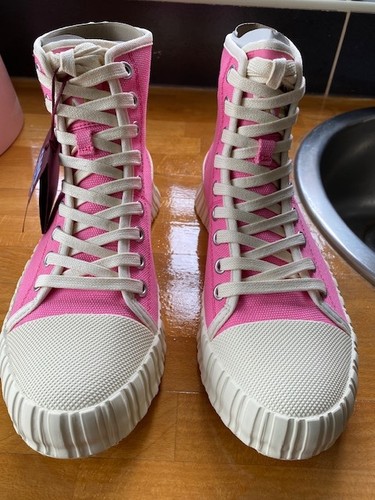 Brand new camper lab high - high, top