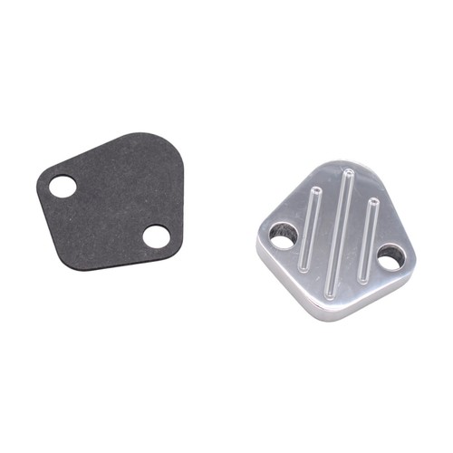 Fuels pump block off plate - pump,