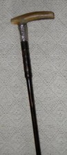 Edwardian Hallmarked 1909 Silver Ladies Bovine Horn Walking Stick Cane / Stick