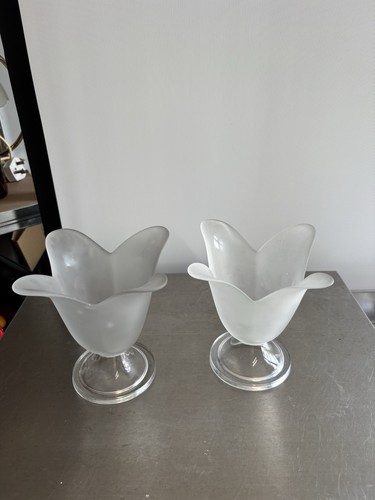 Pair frosted glass tulip - glass,