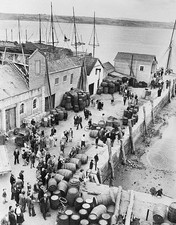 The face of Youghal Ireland