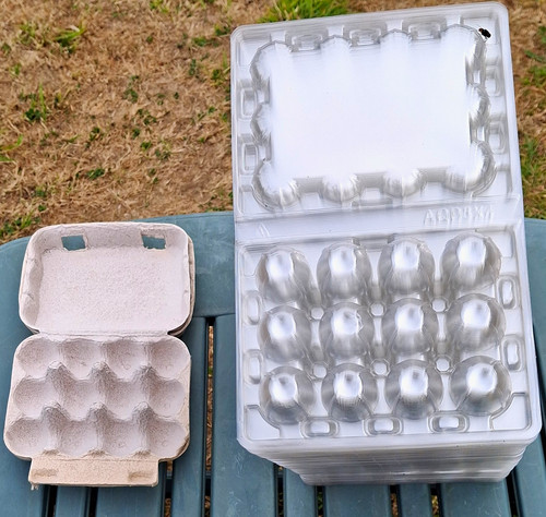 Reusable quail egg packaging - quail,