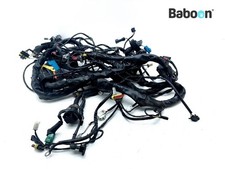 Wiring Harness (Main) Piaggio
