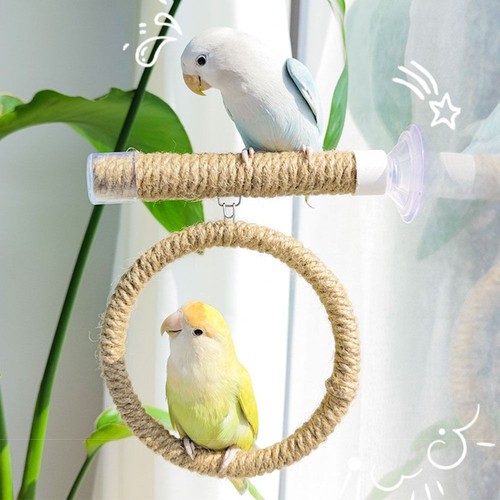 Suction cup bird window - suction,
