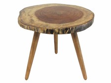 Natural Wood Tree Trunk Slab Accent End/Coffee Table