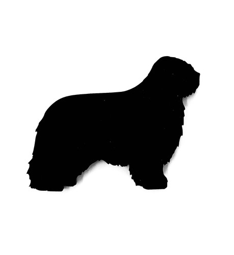 Polish lowland sheepdog dog - polish,