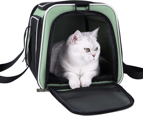 Top load cat carrier for - cat,