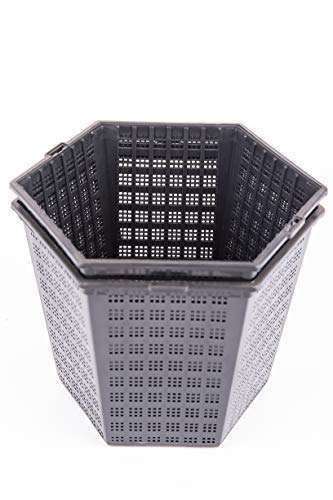 Hexagon pots 3ltr - 3ltr,