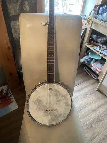 Vintage pilgrim banjo mint - banjo, in