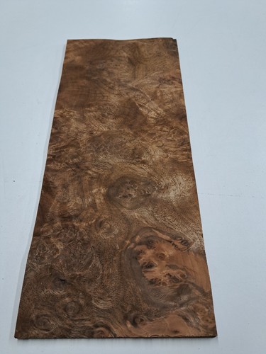 Burr walnut veneer 1 natural - burr,