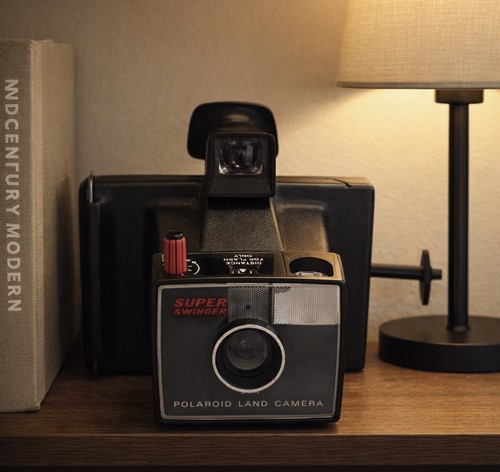 Polaroid super swinger land - polaroid,