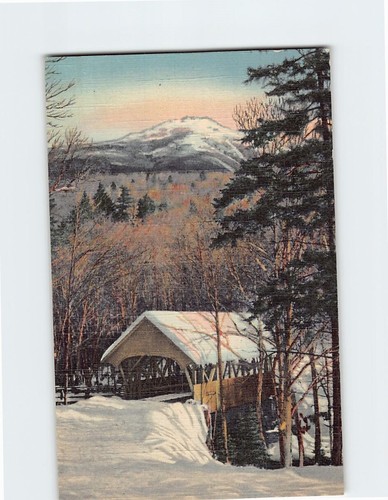 Postcard flume bridge mt - flume,