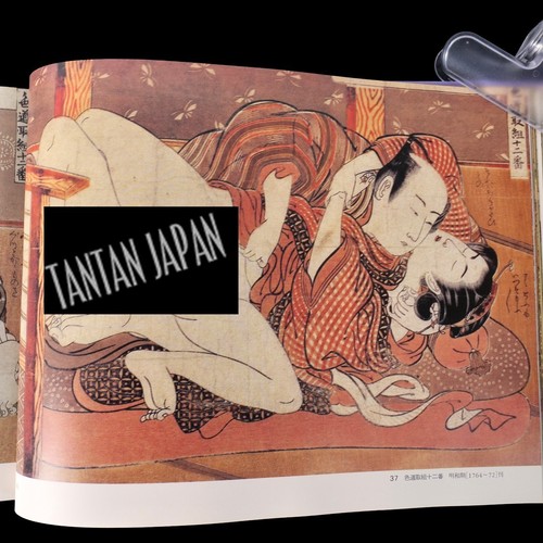 Shunga art book - book,