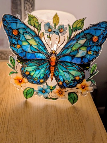 Butterfly and flowers acrylic - and,
