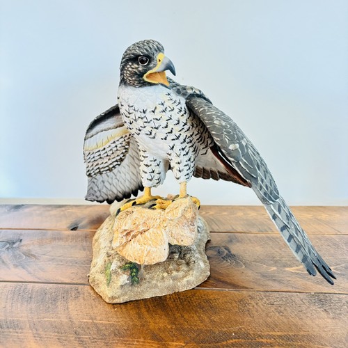 Beautiful peregrine falcon - peregrine,