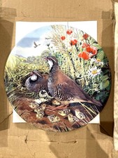 Royal Grafton Red-legged