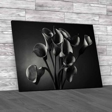 Elegant Calla Lily Bouquet Zantedeschia Black White Canvas Print Large Picture