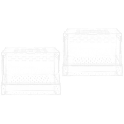 Pack spider box - spider, insect