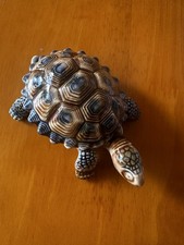 Wade Vintage Tortoise 2 Piece