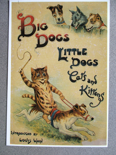 Cat postcard louis - postcard, modern