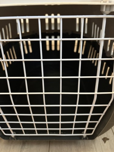 Pet carrier travel - pet,