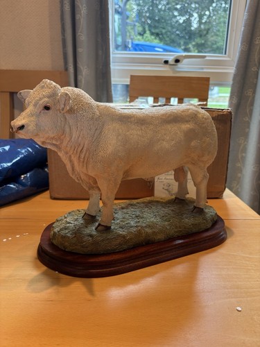 Border fine arts charolais - fine,
